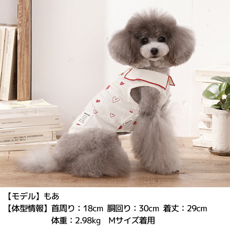 ハートリブ襟タンク XS/S/M/L/XL/XXL TINOTITO -ティノティート- 犬服 ドッグウェア TT26SS tt261454