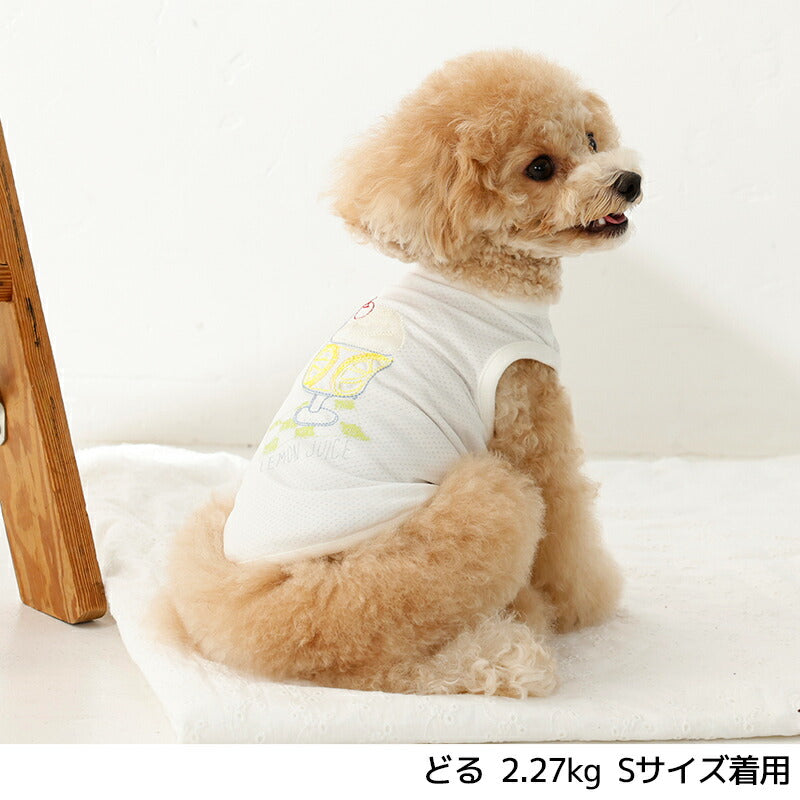 レモンジュースメッシュタンク XS/S/M/L/XL/XXL TINOTITO -ティノ