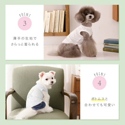 レモンジュースメッシュタンク XS/S/M/L/XL/XXL TINOTITO -ティノティート- 犬服 ドッグウェア TT26SS tt261455