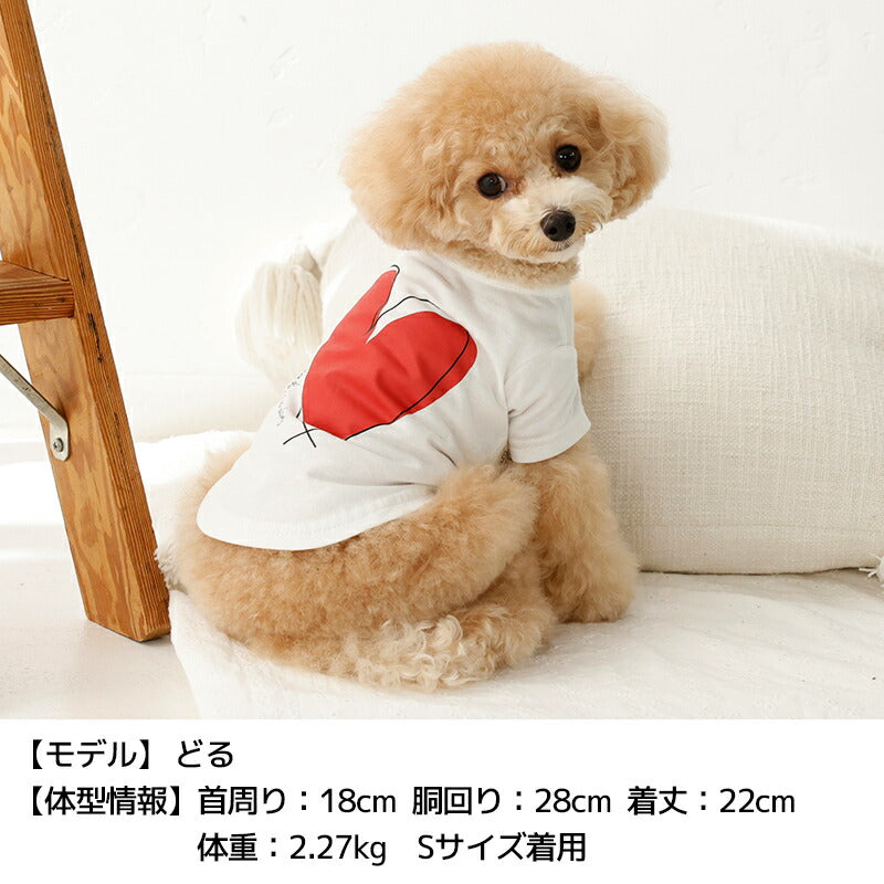 ハートTシャツ XS/S/M/L/XL/XXL TINOTITO -ティノティート- 犬服