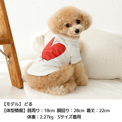 ハートTシャツ XS/S/M/L/XL/XXL TINOTITO -ティノティート- 犬服 ドッグウェア TT26SS tt261456