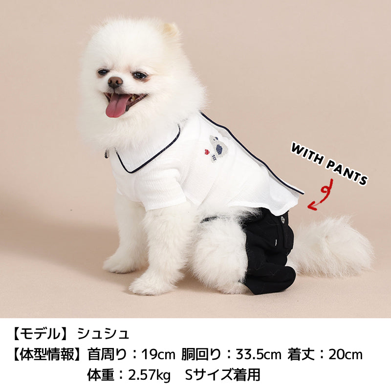 背開きパジャマ風シャツ XS/S/M/L/XL/XXL TINOTITO -ティノティート- 犬服 ドッグウェア TT26SS tt261458