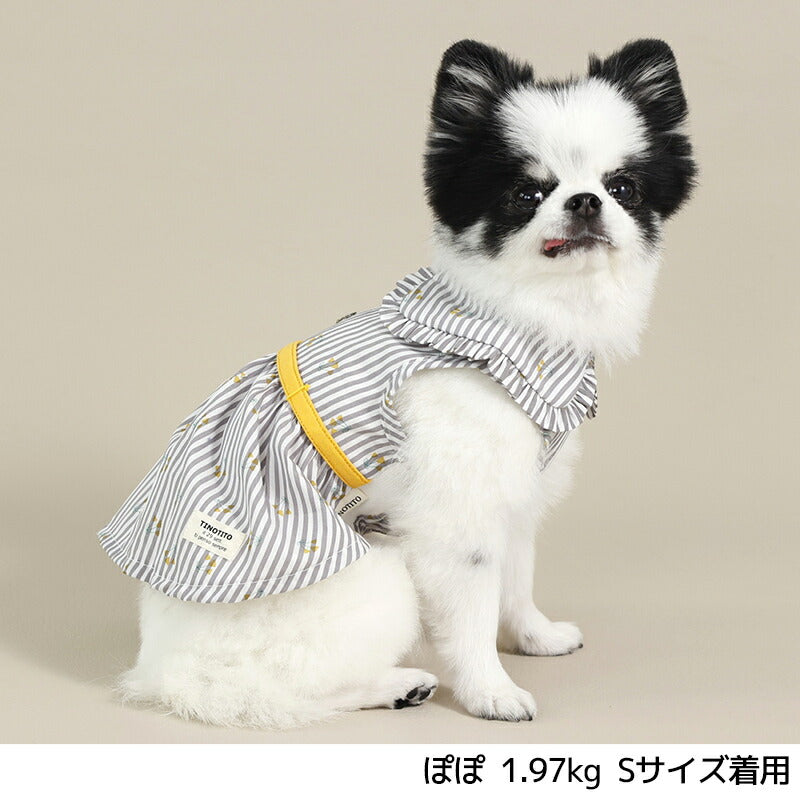 小花ストライプワンピ XS/S/M/L/XL/XXL TINOTITO -ティノティート- 犬服 ドッグウェア TT26SS tt261459