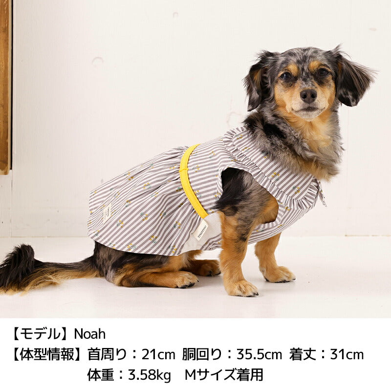 小花ストライプワンピ XS/S/M/L/XL/XXL TINOTITO -ティノティート- 犬