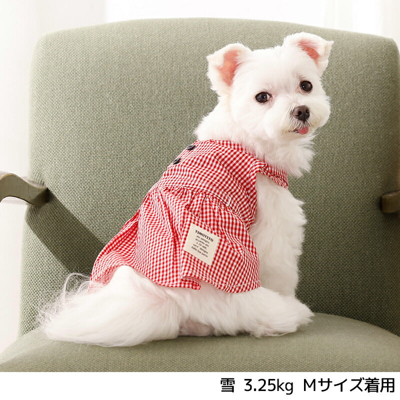 ギンガムチェックワンピ XS/S/M/L/XL/XXL TINOTITO -ティノティート- 犬服 ドッグウェア TT26SS tt261463
