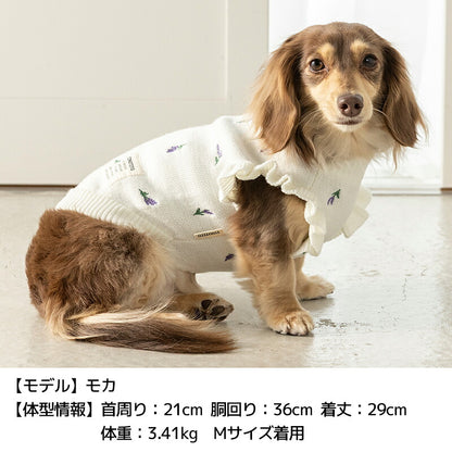 ラベンダー袖フリルニット XS/S/M/L/XL/XXL TINOTITO -ティノティート- 犬服 ドッグウェア TT26AW tt261477