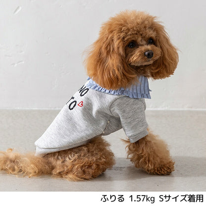 ビッグカラートレーナー XS/S/M/L/XL/XXL TINOTITO -ティノティート- あったか 犬服 ドッグウェア TT26AW tt261482