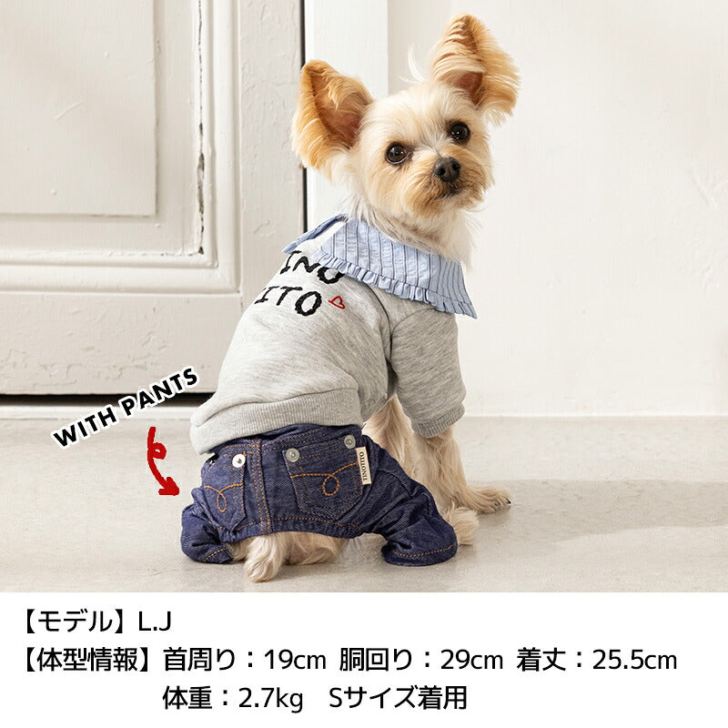 ビッグカラートレーナー XS/S/M/L/XL/XXL TINOTITO -ティノティート- あったか 犬服 ドッグウェア TT26AW tt261482