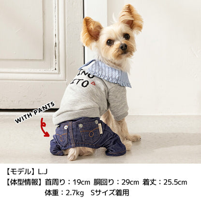 ビッグカラートレーナー XS/S/M/L/XL/XXL TINOTITO -ティノティート- あったか 犬服 ドッグウェア TT26AW tt261482
