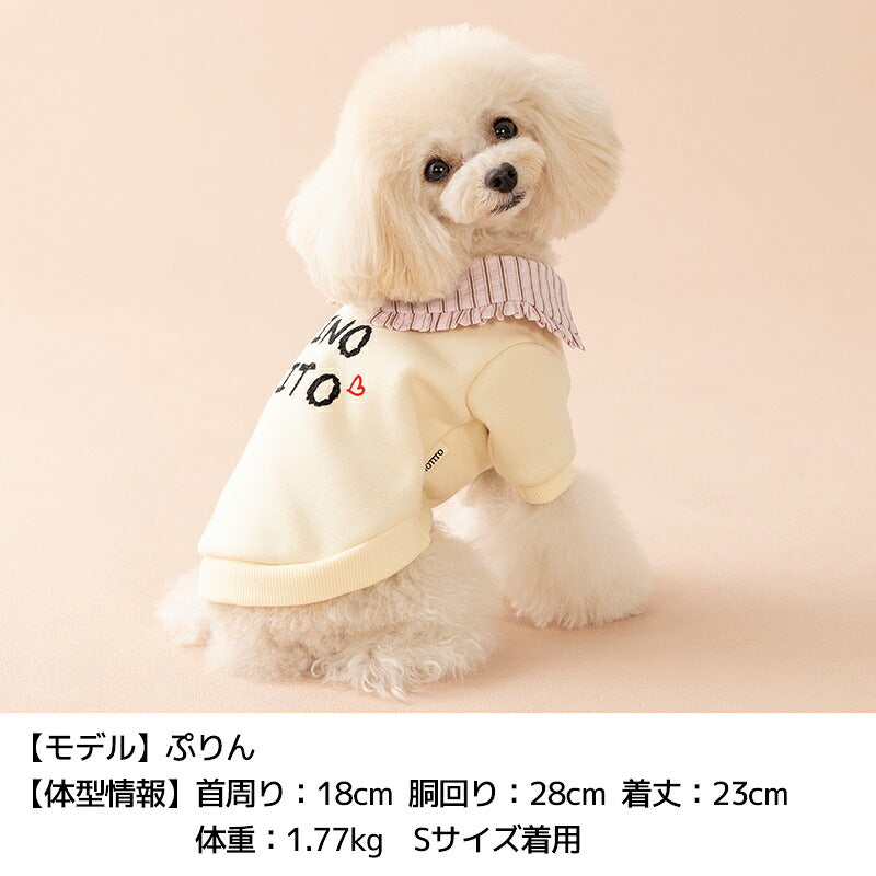 ビッグカラートレーナー XS/S/M/L/XL/XXL TINOTITO -ティノティート- あったか 犬服 ドッグウェア TT26AW tt261482