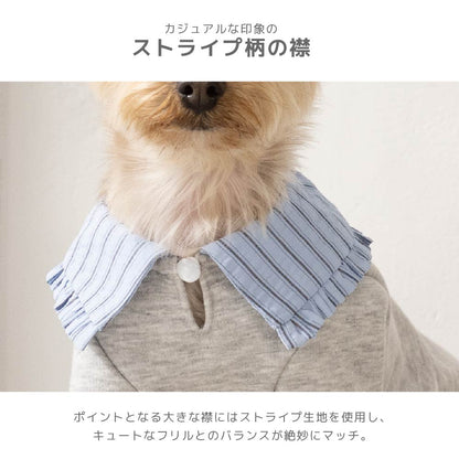 ビッグカラートレーナー XS/S/M/L/XL/XXL TINOTITO -ティノティート- あったか 犬服 ドッグウェア TT26AW tt261482