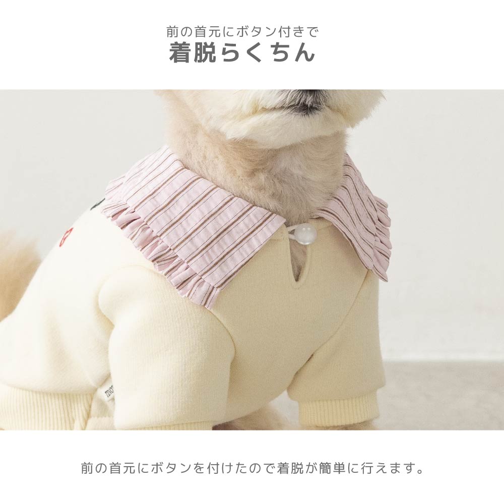 ビッグカラートレーナー XS/S/M/L/XL/XXL TINOTITO -ティノティート- あったか 犬服 ドッグウェア TT26AW tt261482