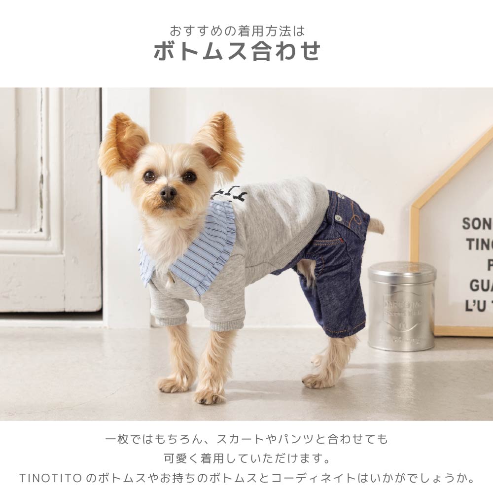 ビッグカラートレーナー XS/S/M/L/XL/XXL TINOTITO -ティノティート- あったか 犬服 ドッグウェア TT26AW tt261482