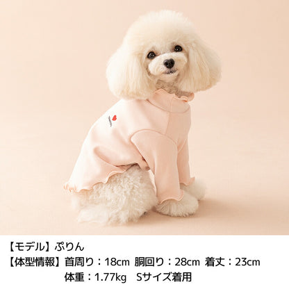 ワンポイントメローTシャツ XS/S/M/L/XL/XXL TINOTITO -ティノティート- カシミヤタッチ 犬服 ドッグウェア TT26AW tt261483