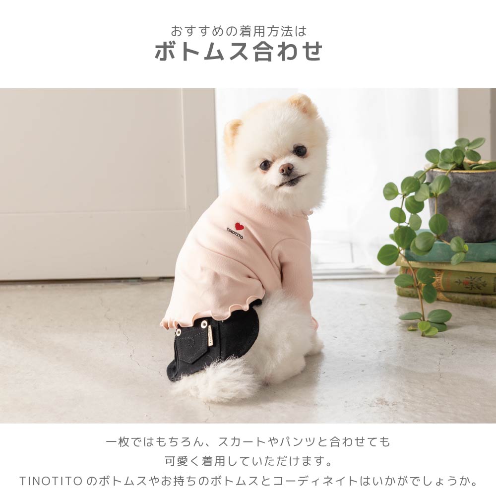 ワンポイントメローTシャツ XS/S/M/L/XL/XXL TINOTITO -ティノティート- カシミヤタッチ 犬服 ドッグウェア TT26AW tt261483