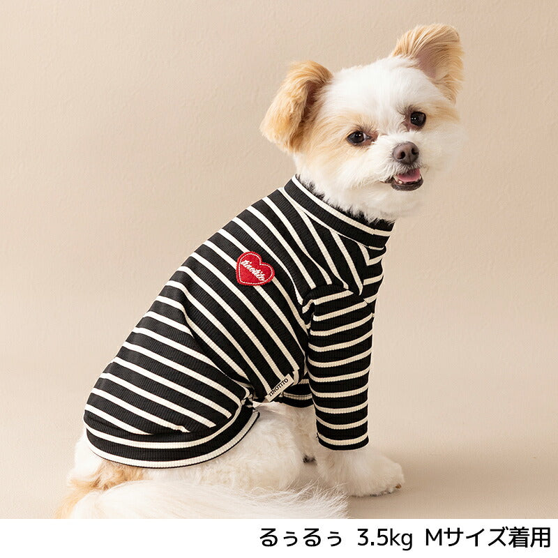 ボーダーワッペンＴシャツ XS/S/M/L/XL/XXL TINOTITO -ティノティート- 犬服 ドッグウェア TT26AW tt261484