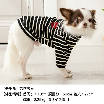 ボーダーワッペンＴシャツ XS/S/M/L/XL/XXL TINOTITO -ティノティート- 犬服 ドッグウェア TT26AW tt261484