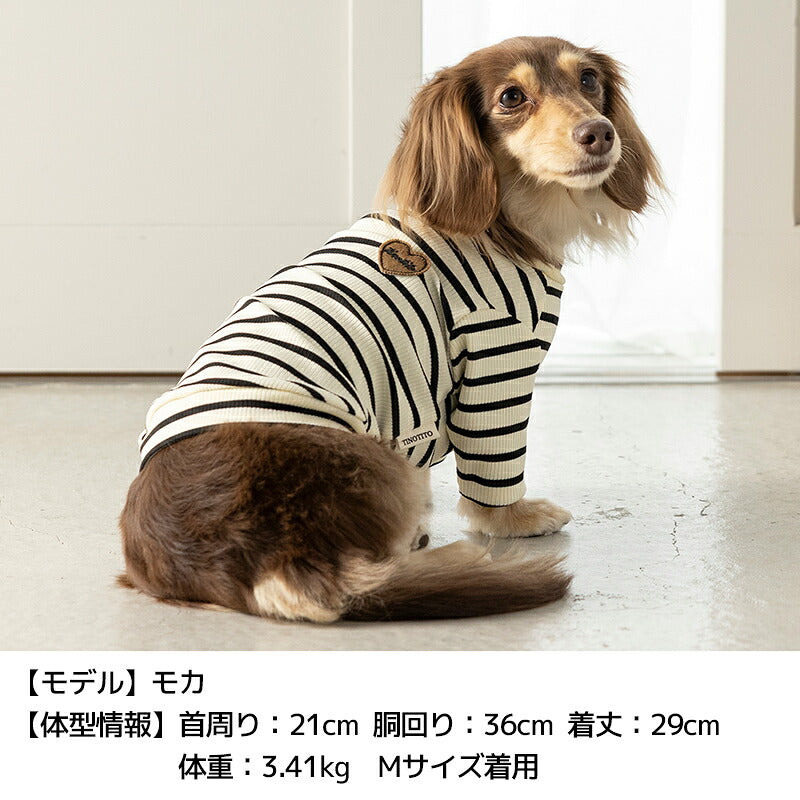 ボーダーワッペンＴシャツ XS/S/M/L/XL/XXL TINOTITO -ティノティート- 犬服 ドッグウェア TT26AW tt261484