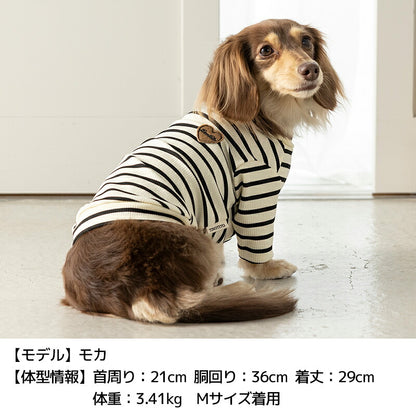 ボーダーワッペンＴシャツ XS/S/M/L/XL/XXL TINOTITO -ティノティート- 犬服 ドッグウェア TT26AW tt261484