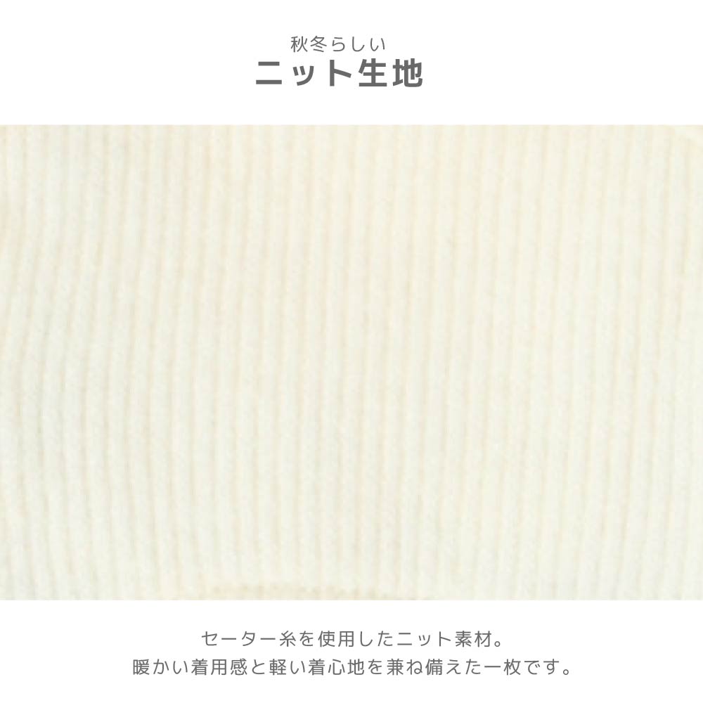 チェックワンピ XS/S/M/L/XL/XXL TINOTITO -ティノティート- 犬服 ドッグウェア TT26AW tt261488