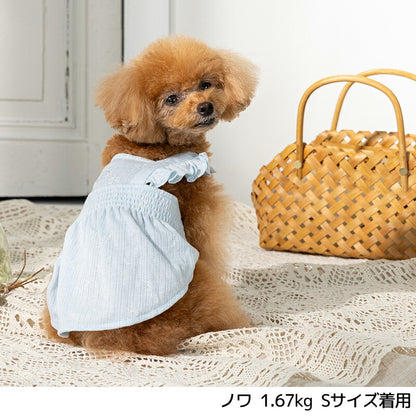 うさぎ柄ワンピ XS/S/M/L/XL/XXL Un TouTou -アントゥトゥ- 犬用 UT25SS ut251004