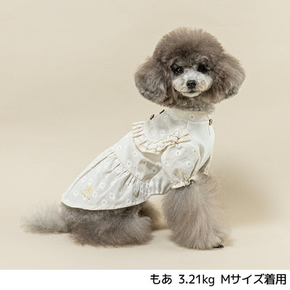 デイジー柄ストライプワンピ XS/S/M/L/XL/XXL Un TouTou -アントゥトゥ- 犬用 UT25SS ut251007
