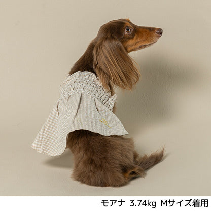 ギンガムチェック柄ワンピ XS/S/M/L/XL/XXL Un TouTou -アントゥトゥ- 犬用 UT25SS ut251008