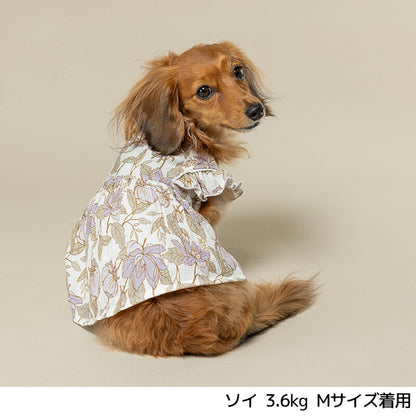 肩フリル切り替えワンピ XS/S/M/L/XL/XXL Un TouTou -アントゥトゥ- 犬用 UT25SS ut251012