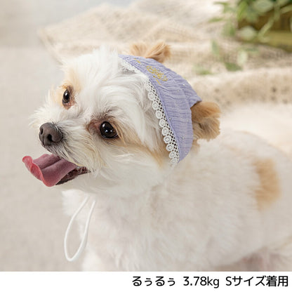 きらきらストーンレース帽子 S/M/L Un TouTou -アントゥトゥ- 犬用 UT25SS ut252022