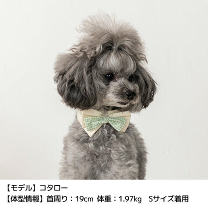 蝶ネクタイスタイ S/M/L Un TouTou -アントゥトゥ- 犬用 UT25SS ut252025