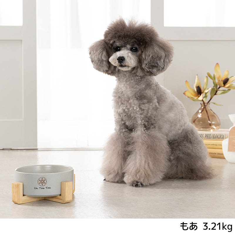 スタンド付きフードボウル F Un TouTou -アントゥトゥ- 犬用 UT25SS ut250051