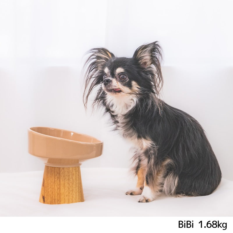 足付きフードボウル F Un TouTou -アントゥトゥ- 犬用 UT25SS