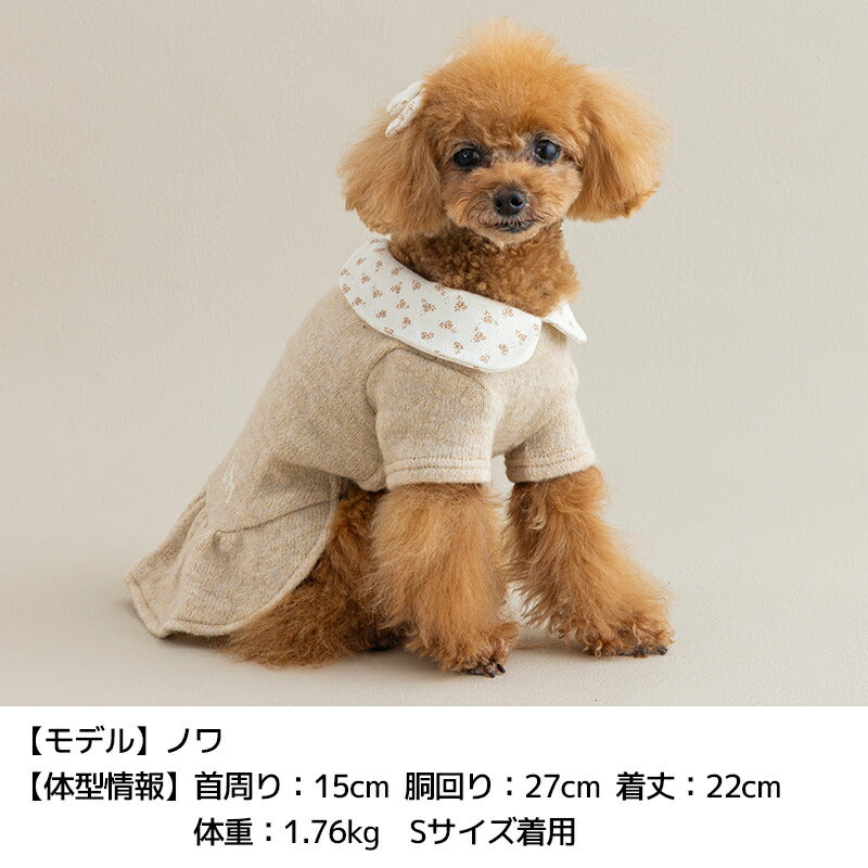 小花柄襟ニットワンピ XS/S/M/L/XL/XXL Un TouTou -アントゥトゥ- 犬服 ドッグウェア UT25AW ut251061