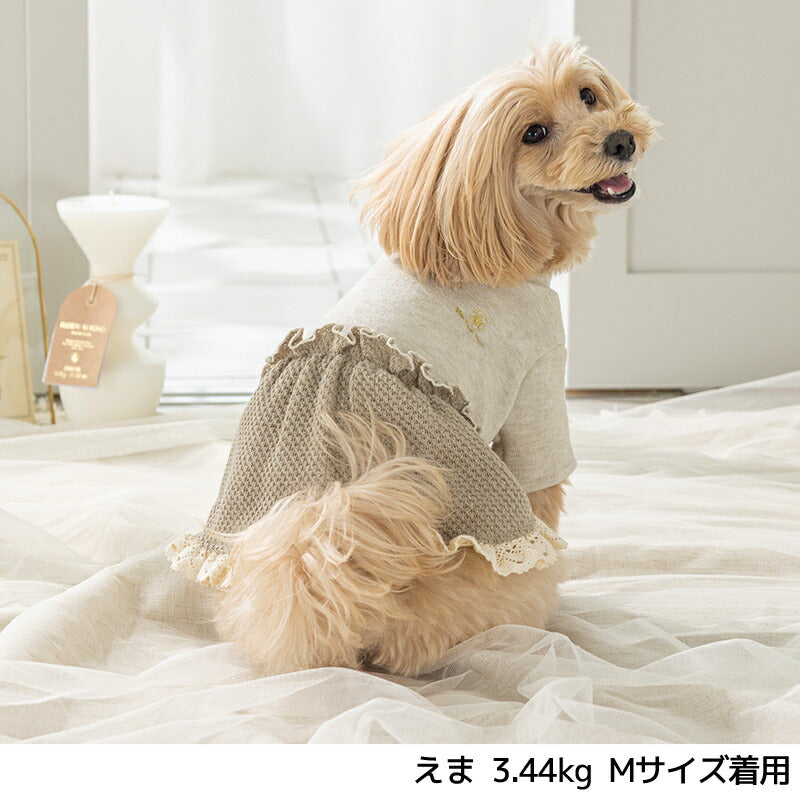 襟レース切替ニットワンピ XS/S/M/L/XL/XXL Un TouTou -アントゥトゥ- 犬服 ドッグウェア UT25AW ut251070