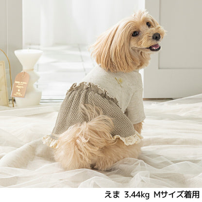 襟レース切替ニットワンピ XS/S/M/L/XL/XXL Un TouTou -アントゥトゥ- 犬服 ドッグウェア UT25AW ut251070
