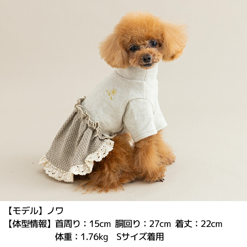 襟レース切替ニットワンピ XS/S/M/L/XL/XXL Un TouTou -アントゥトゥ- 犬服 ドッグウェア UT25AW ut251070