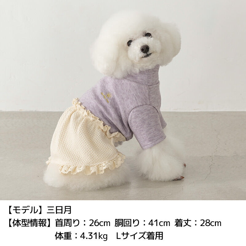 襟レース切替ニットワンピ XS/S/M/L/XL/XXL Un TouTou -アントゥトゥ- 犬服 ドッグウェア UT25AW ut251070