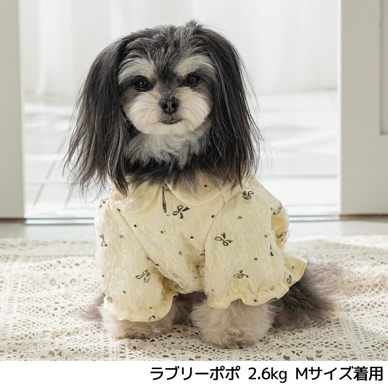 リボン柄バルーンブラウス XS/S/M/L/XL/XXL/DS/DM Un TouTou -アントゥトゥ- 犬服 ドッグウェア UT25AW ut251073
