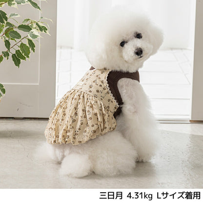 小花柄アンサンブルワンピ XS/S/M/L/XL/XXL Un TouTou -アントゥトゥ- 犬服 ドッグウェア UT25AW ut251074
