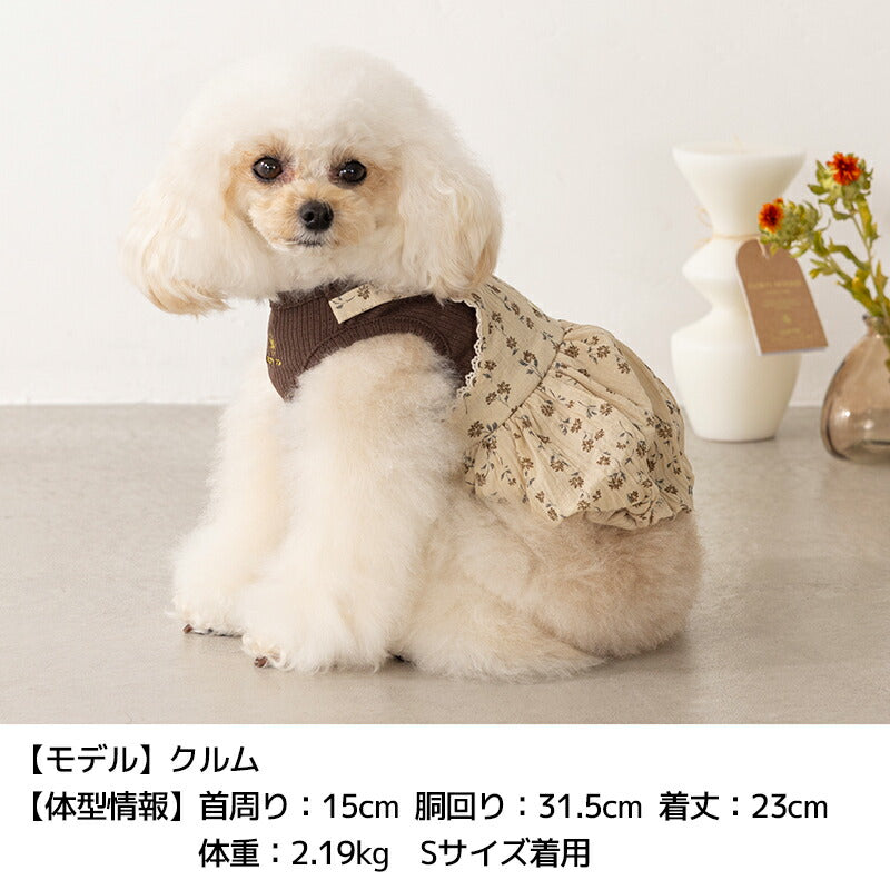 小花柄アンサンブルワンピ XS/S/M/L/XL/XXL Un TouTou -アントゥトゥ- 犬服 ドッグウェア UT25AW ut251074