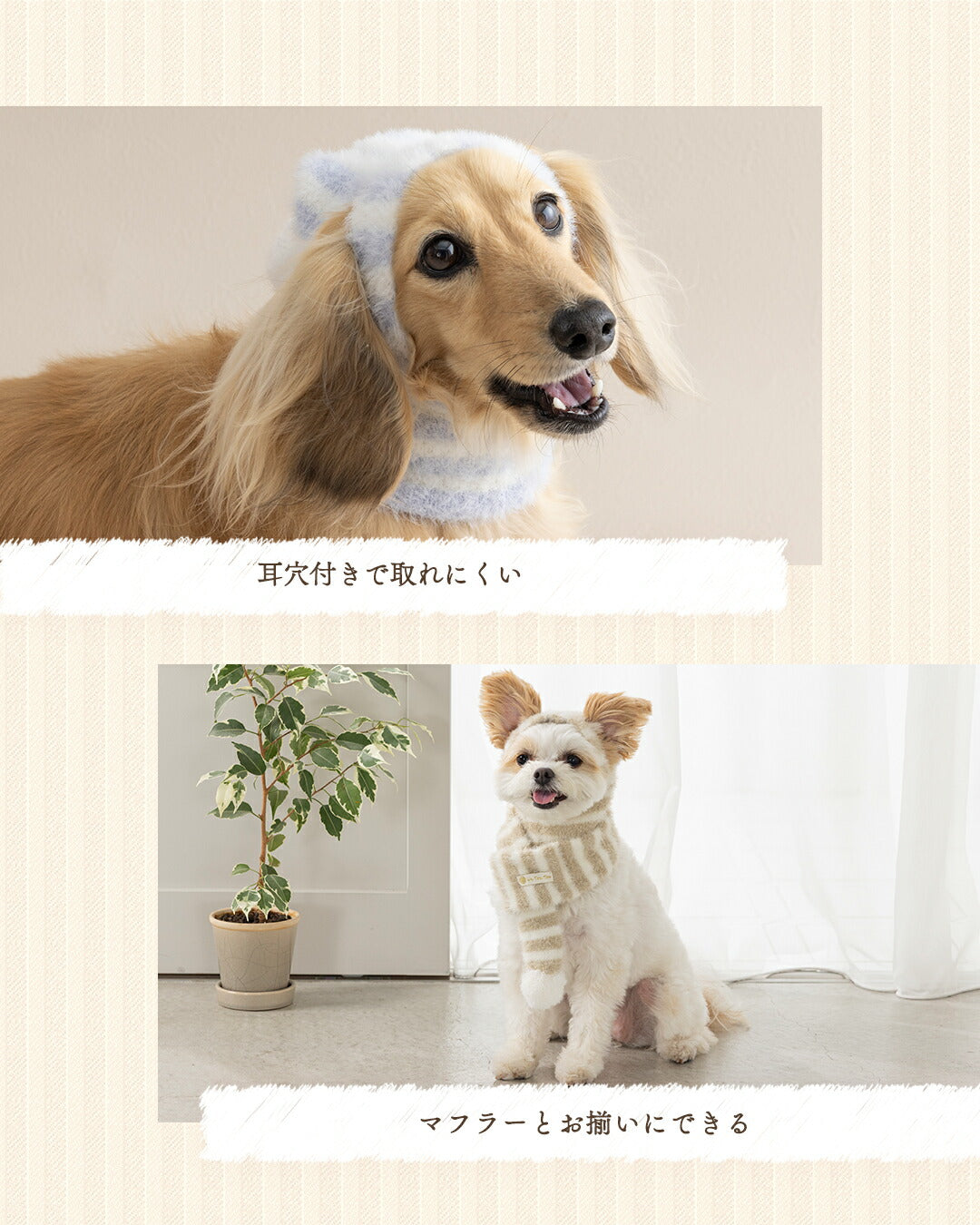 マシュマロボーダー帽子 S/M/L Un TouTou -アントゥトゥ- 犬用 帽子 UT25AW ut252097