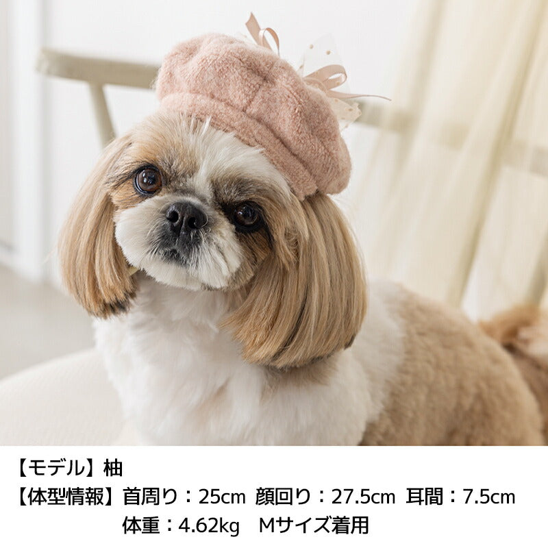 ブークレーベレー帽子 S/M/L Un TouTou -アントゥトゥ- 犬用 帽子 UT25AW ut252099