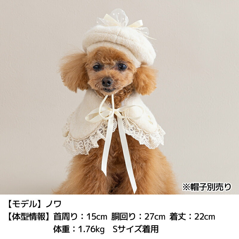 ブークレーニットケープ S/M/L Un TouTou -アントゥトゥ- 犬用 UT25AW ut252100