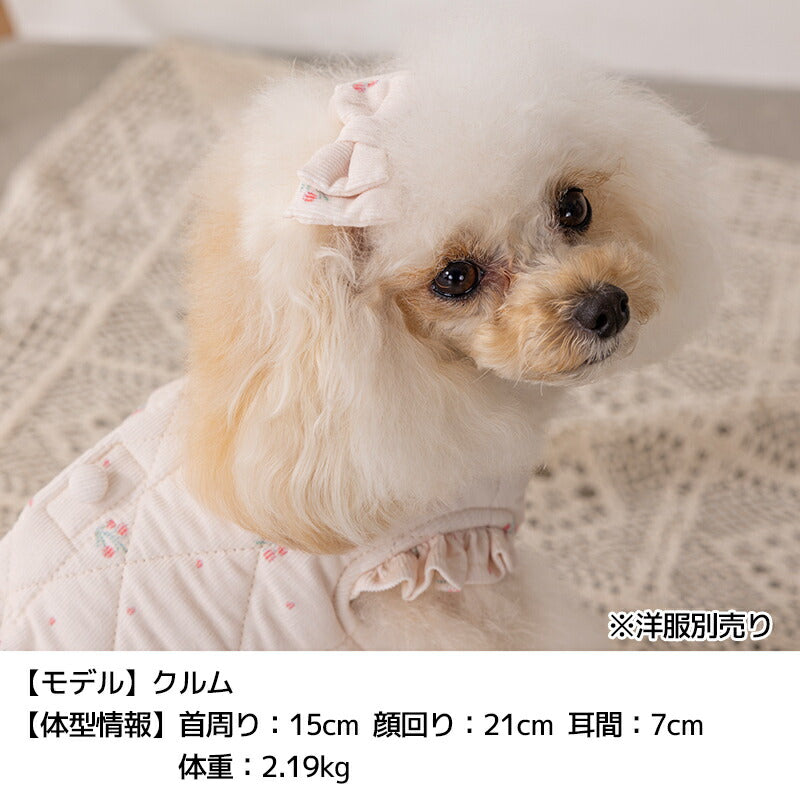 コーデュロイリボン Free Un TouTou -アントゥトゥ- 犬用 アクセサリー UT25AW ut252105