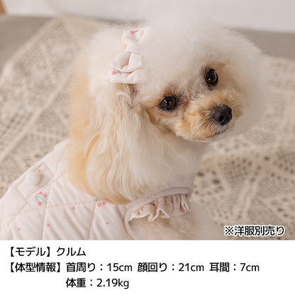 コーデュロイリボン Free Un TouTou -アントゥトゥ- 犬用 アクセサリー UT25AW ut252105
