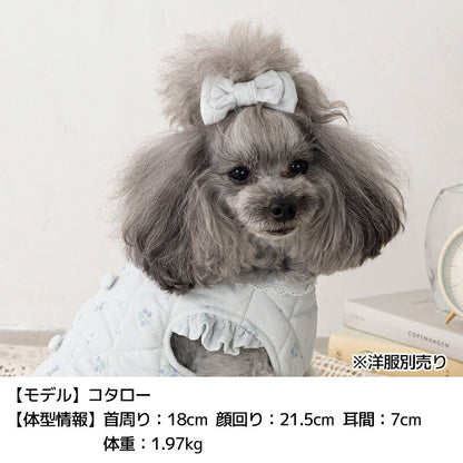 コーデュロイリボン Free Un TouTou -アントゥトゥ- 犬用 アクセサリー UT25AW ut252105
