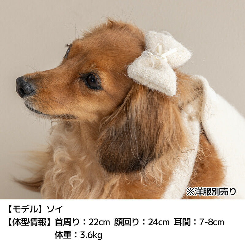 ブークレーチュールリボン Free Un TouTou -アントゥトゥ- 犬用 アクセサリー UT25AW ut252106