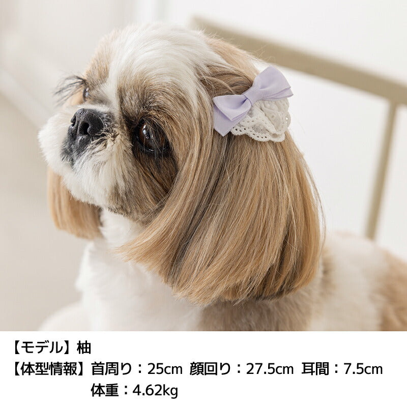 レース付きサテンリボン Free Un TouTou -アントゥトゥ- 犬用 アクセサリー UT25AW ut252107