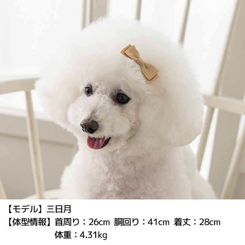 レース付きサテンリボン Free Un TouTou -アントゥトゥ- 犬用 アクセサリー UT25AW ut252107