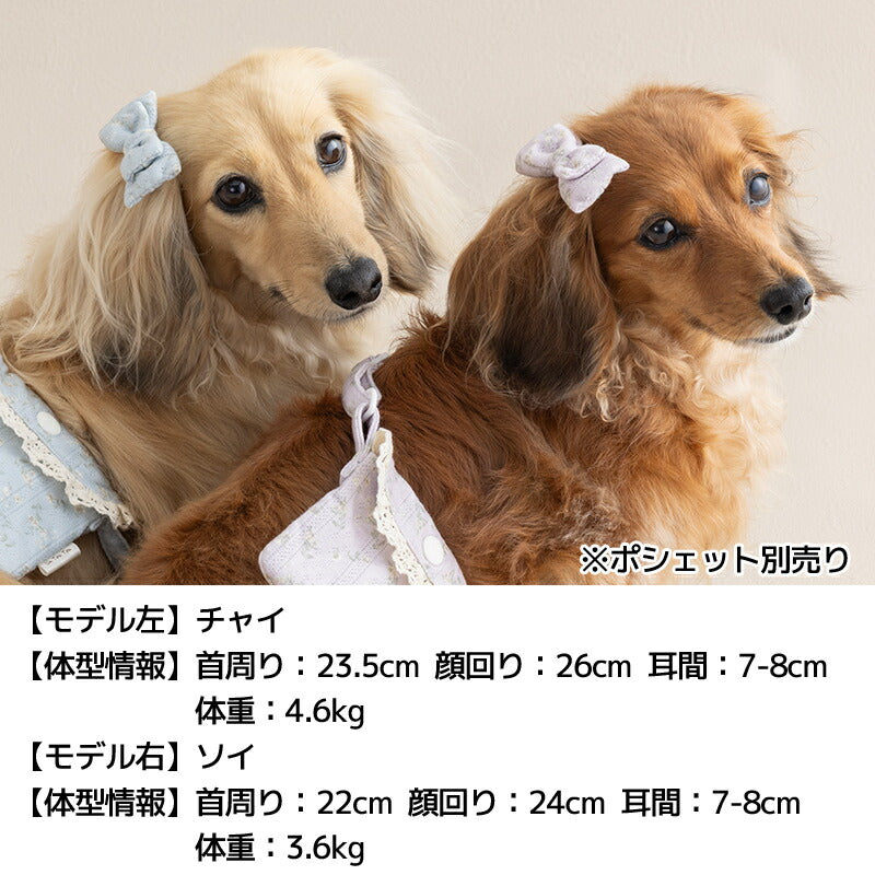 小花柄透かしリボン Free Un TouTou -アントゥトゥ- 犬用 アクセサリー UT25AW ut252113